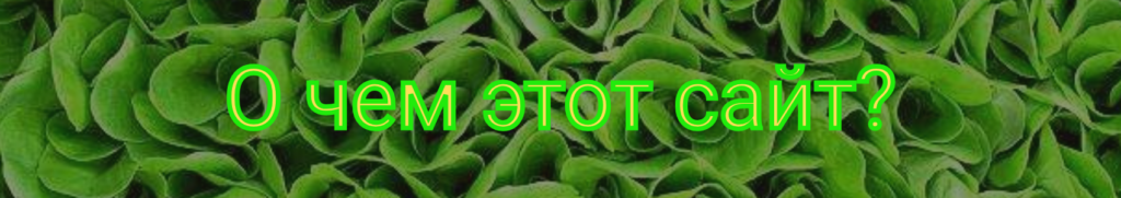 О чем этот сайт-блог? Помощь при восстановлении здоровья нутрициолога очень важна. Этот сайт о том, как получить эту помощь и что нужно делать для этого.