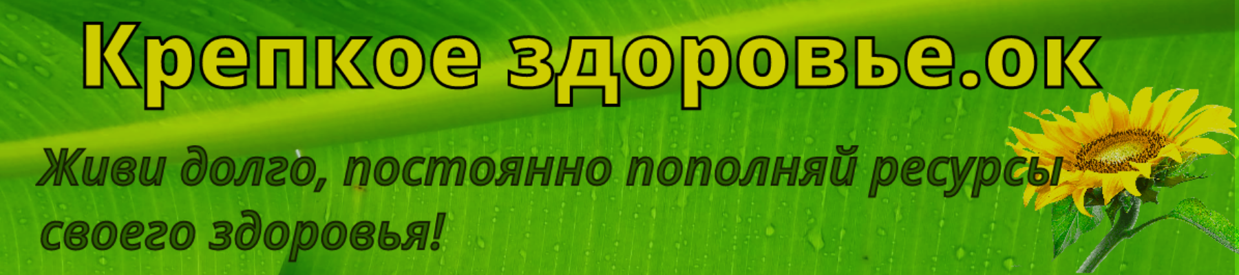 Крепкое здоровье - это постоянная забота о своем организме. Это долгая жизнь, наполненная энергией, движением к новым целям, успехами.